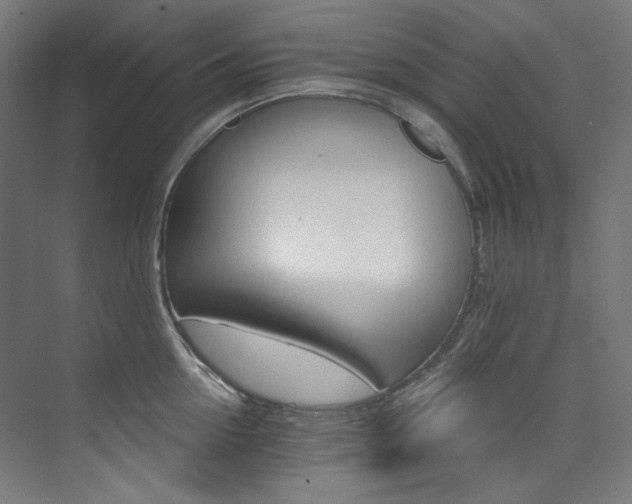 X0000074220954200608251125