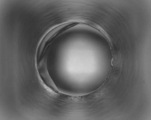 X0000074220955200608251125