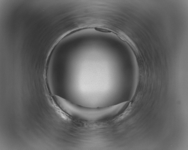 X0000074220956200608251125