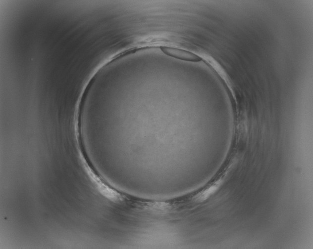 X0000074220957200608251125