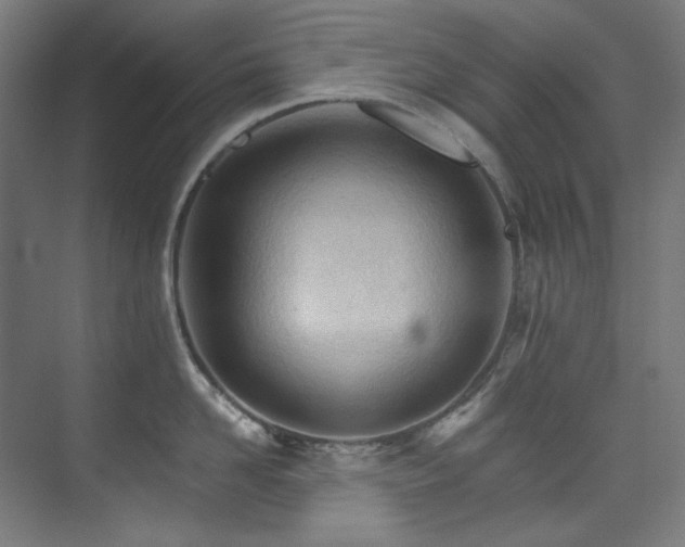 X0000074220958200608251125