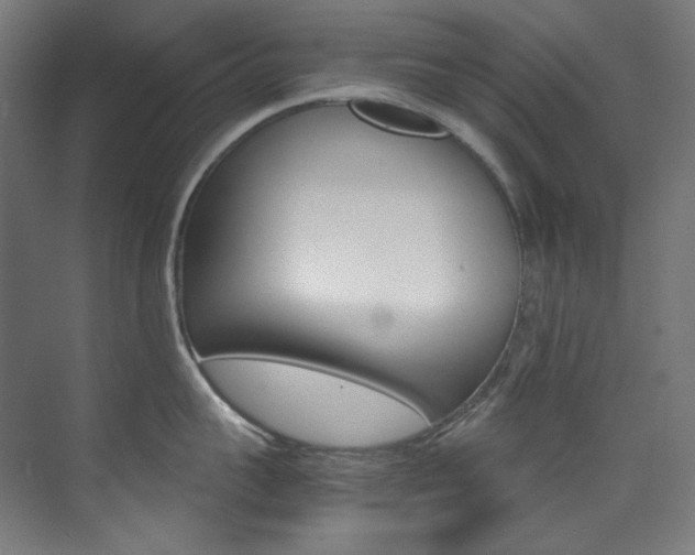 X0000074220959200608251125