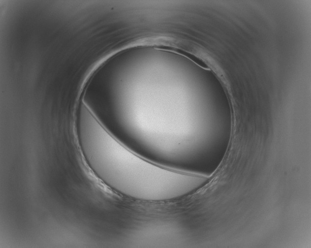 X0000074220960200608251125
