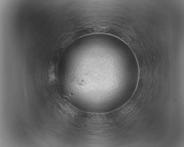X0000074220962200608251125