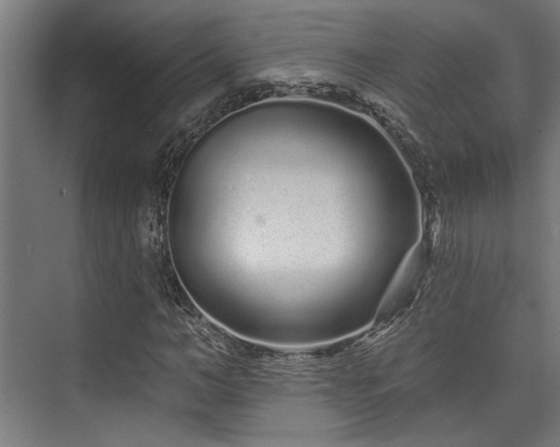 X0000074220966200608251125