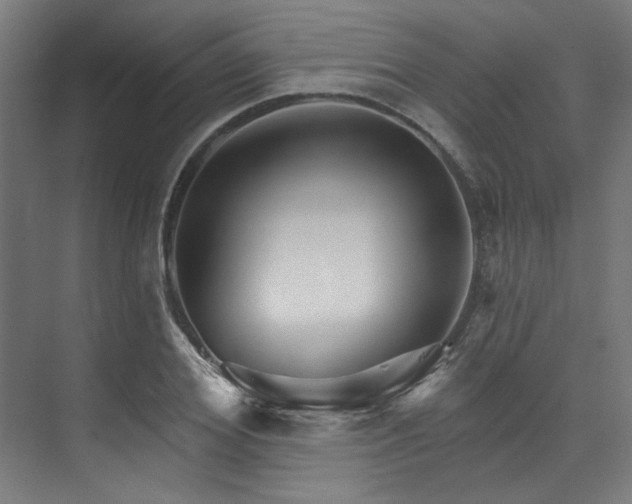 X0000074220980200608251124