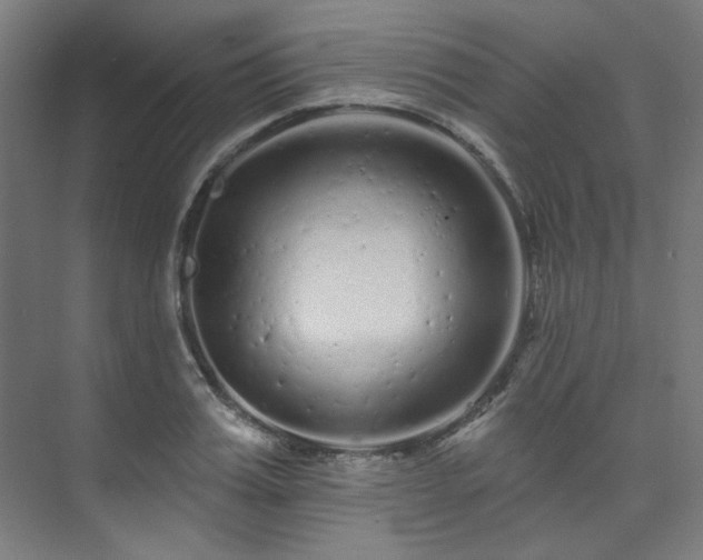 X0000074220987200608251124