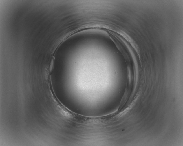 X0000074220993200608251124
