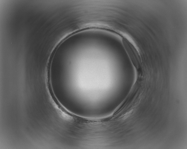 X0000074220999200608251124
