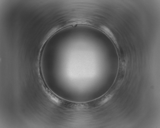 X0000074221002200608251124