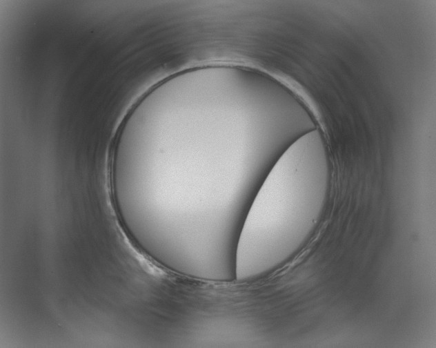 X0000074221006200608251124
