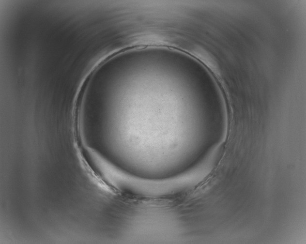 X0000074221008200608251124