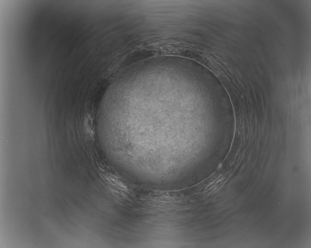 X0000074221010200608251123