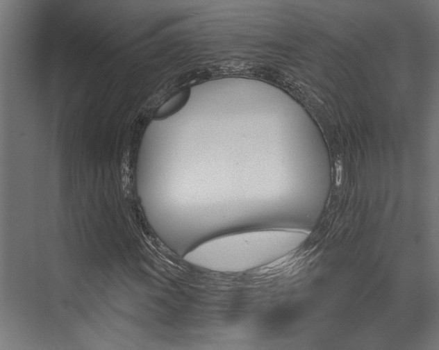 X0000074221011200608251123