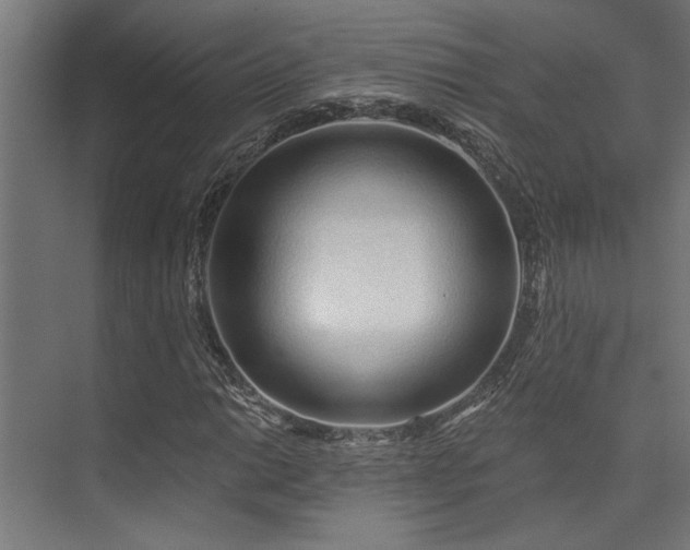 X0000074221014200608251123