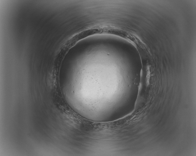 X0000074221016200608251123