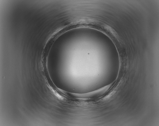 X0000074221018200608251123