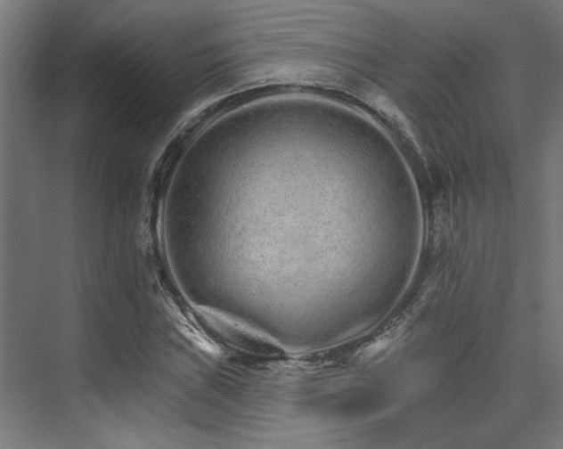 X0000074221019200608251123