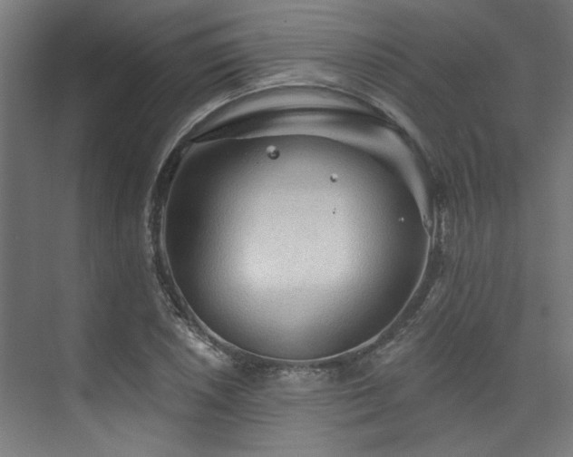 X0000074221026200608251123