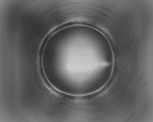 X0000074221029200608251123