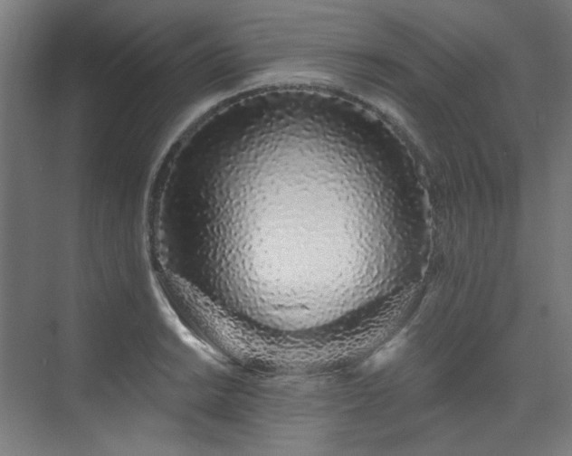 X0000074221038200608251123