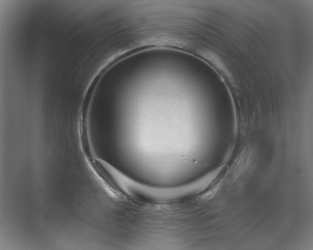 X0000074221040200608251123