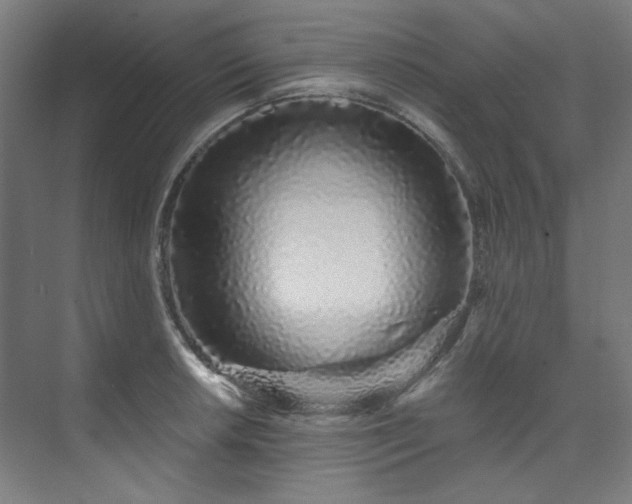 X0000074221042200608251124