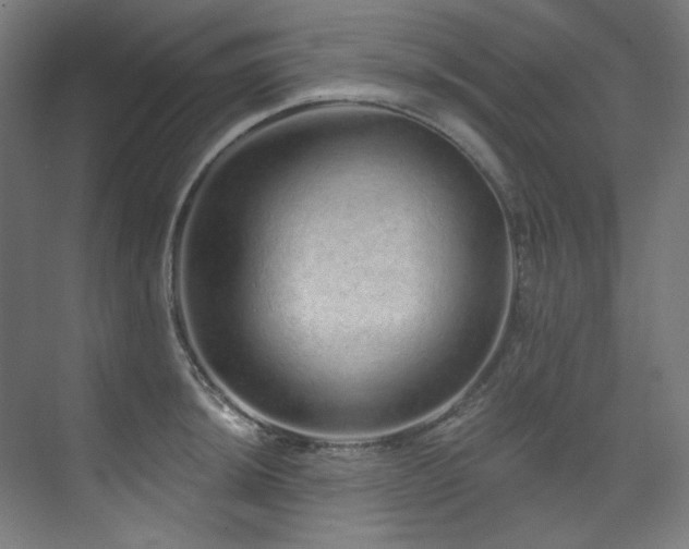 X0000074221044200608251124