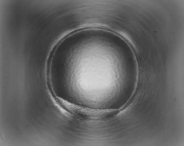 X0000074221046200608251124