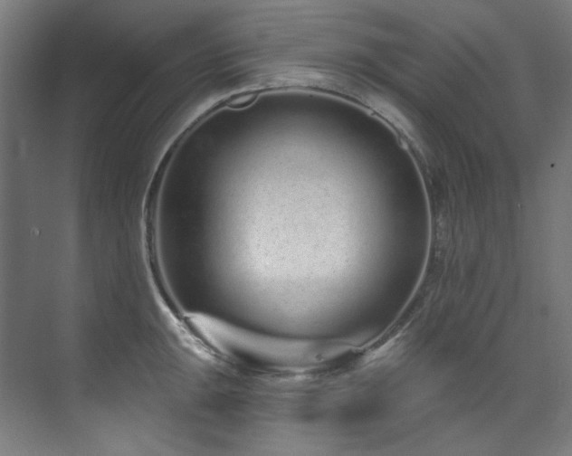 X0000074221047200608251124