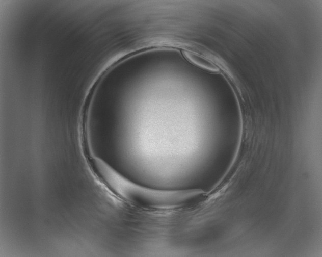 X0000074221048200608251124
