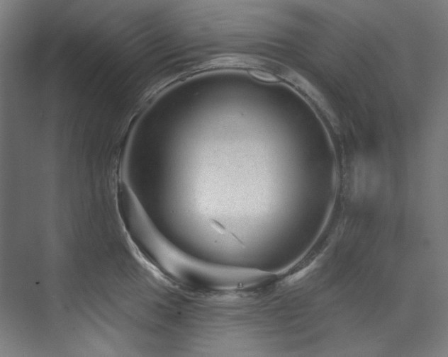 X0000074221049200608251124