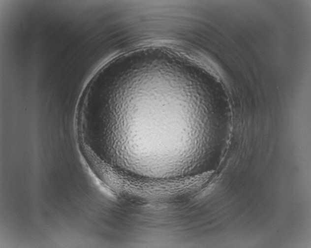 X0000074221050200608251124