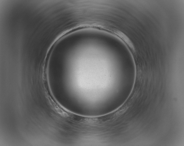 X0000074221052200608251124