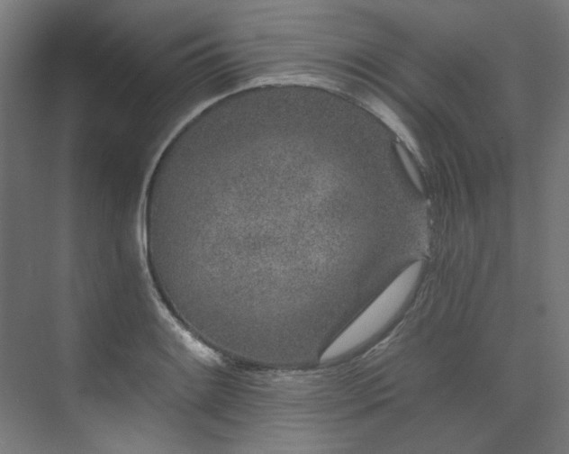 X0000074221084200608251123