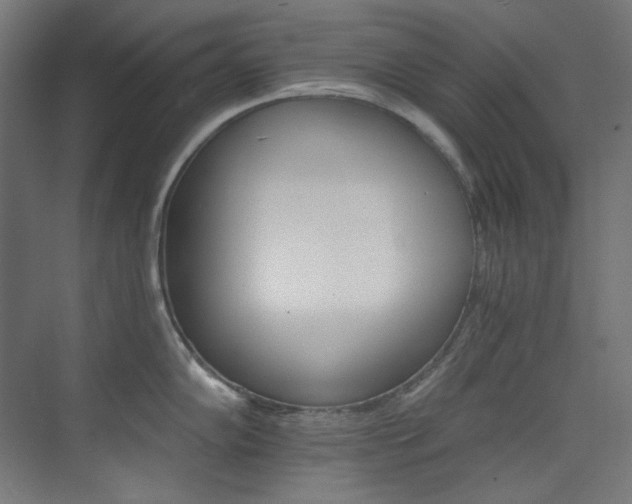 X0000074221102200608251122