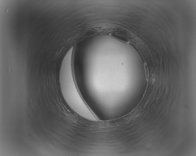X0000074221108200608251121
