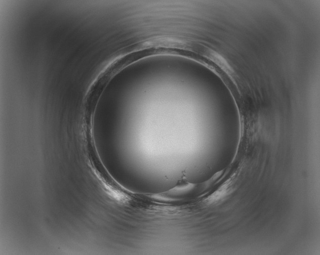 X0000074221115200608251122