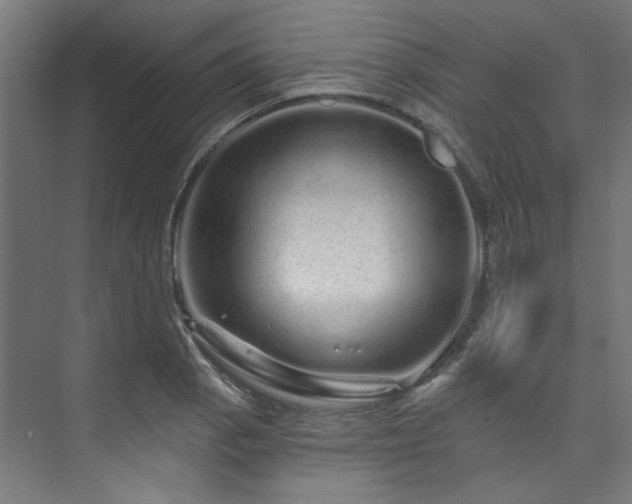 X0000074221129200608251122