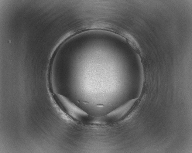 X0000074221138200608251122