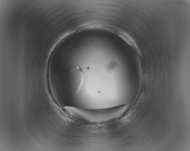 X0000074221146200608251122