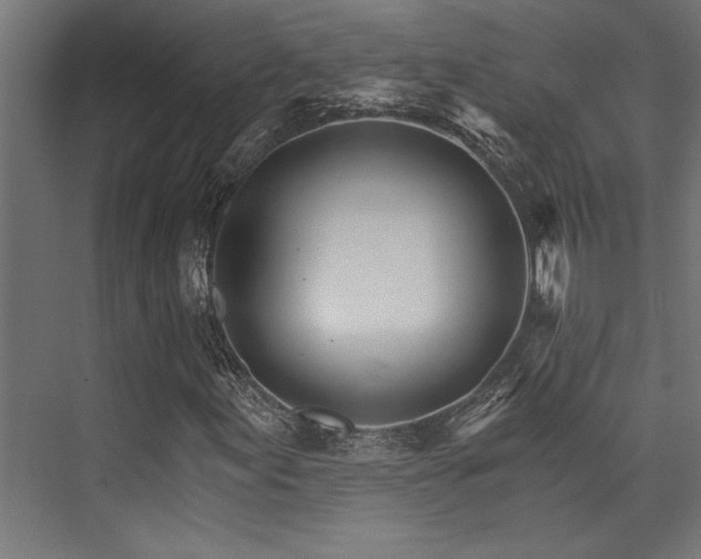 X0000074221155200608251121