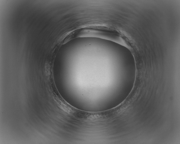 X0000074221169200608251121