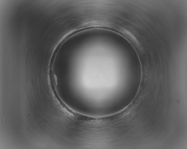 X0000074221182200608251121