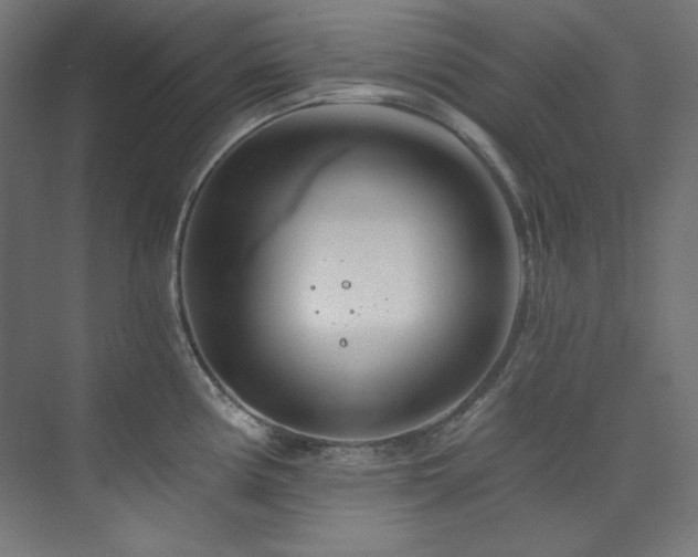 X0000074221194200608251121