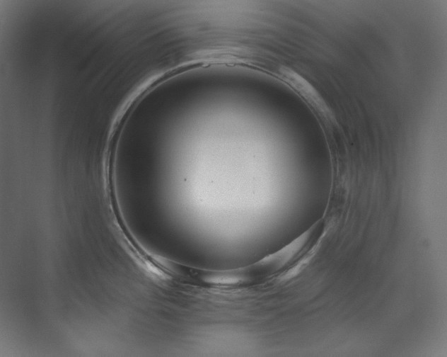 X0000074221196200608251121