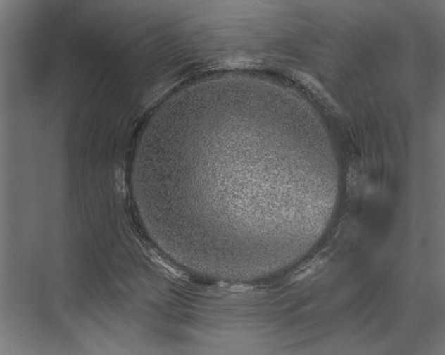 X0000074221209200608251120