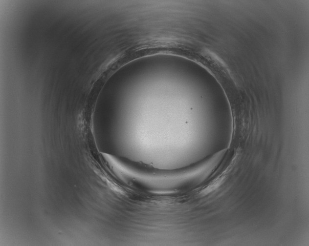 X0000074221210200608251120