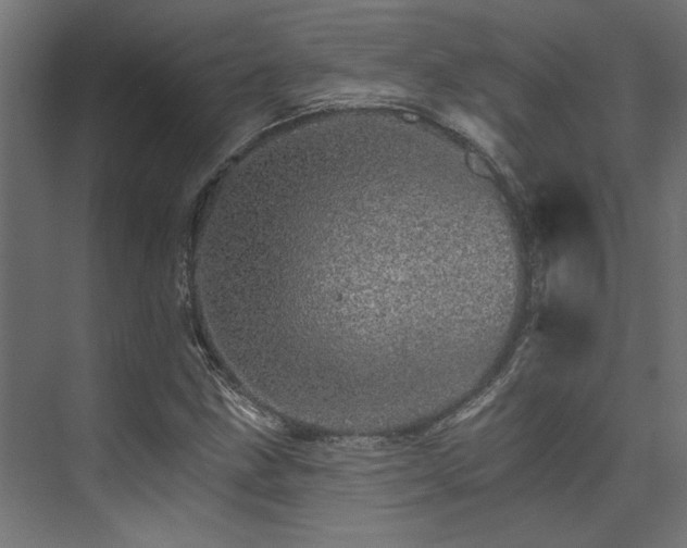 X0000074221211200608251120