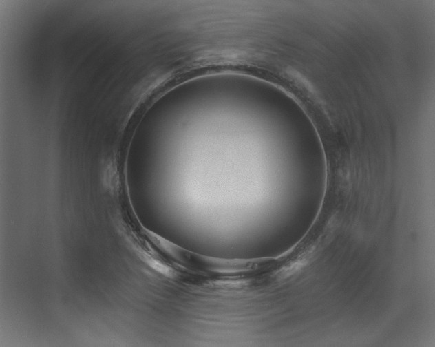X0000074221218200608251120